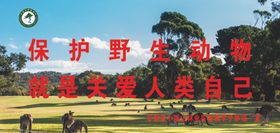 保护野生动物就是关爱人类自己