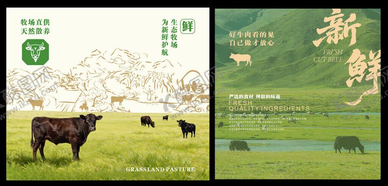 编号：14026704171644036554【酷图网】源文件下载-牛肉海报牛肉装饰牛肉墙面