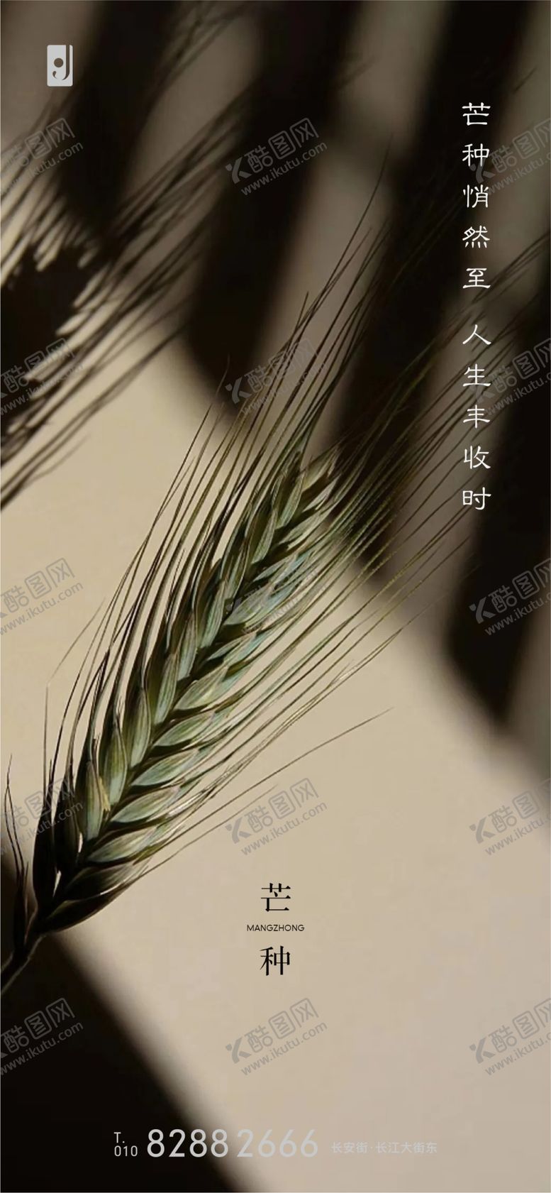 编号：95228606240431363885【酷图网】源文件下载-芒种