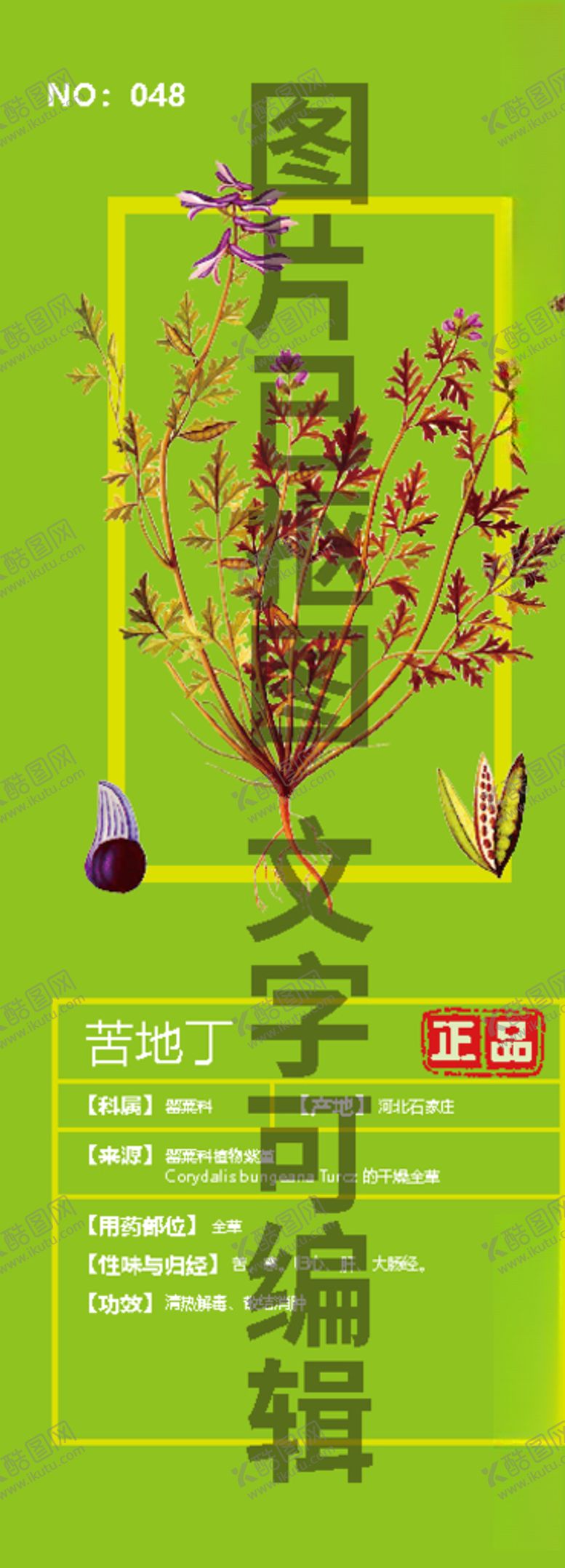 编号：91705909200744309802【酷图网】源文件下载-地丁草