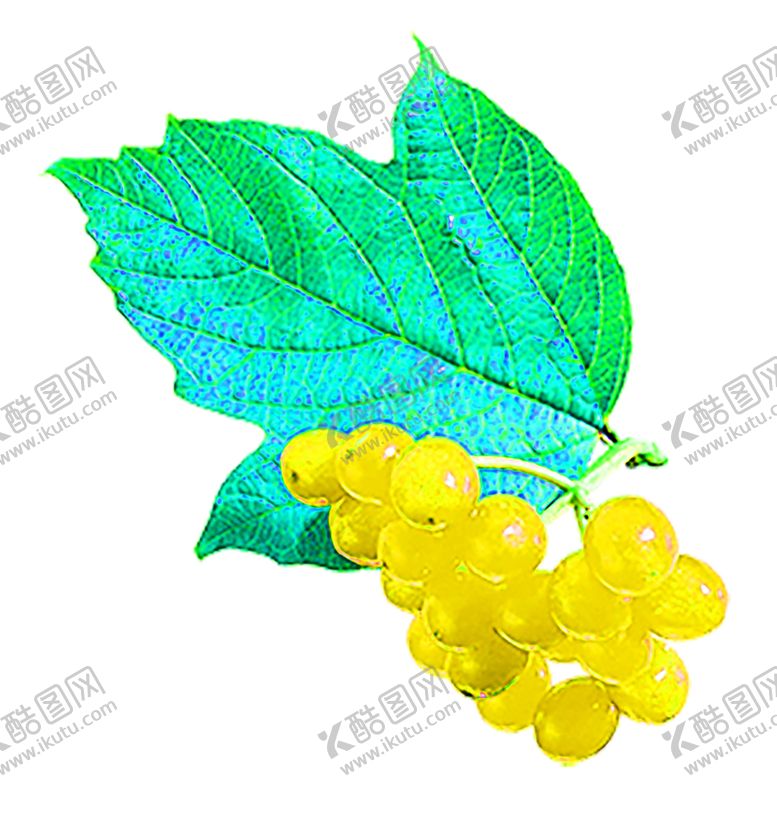 编号：74887410291848115253【酷图网】源文件下载-花素材