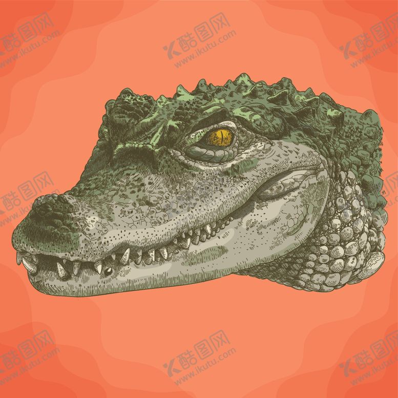 编号：70727010041937335490【酷图网】源文件下载-动物油画