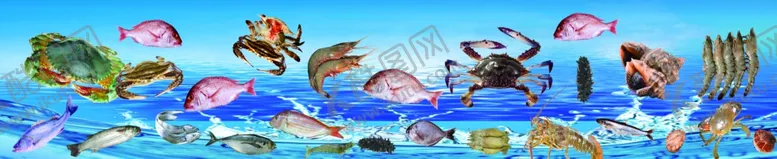 编号：64936204181754148014【酷图网】源文件下载-海鲜海报