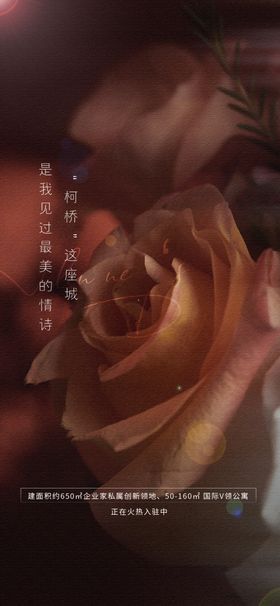 520海报珠宝展架活动情人节