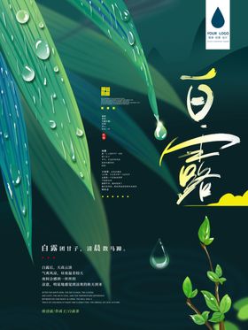 白露海报白露单张白露展板