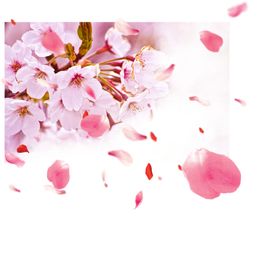 樱花创意绘画图案