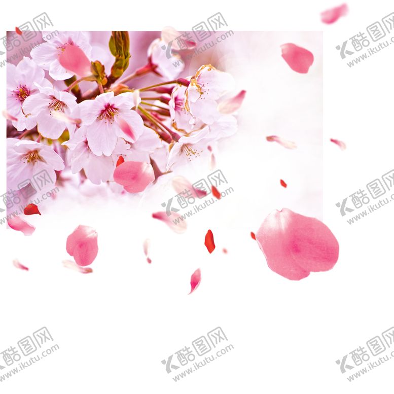 编号：27285607051723273917【酷图网】源文件下载-樱花创意绘画图案