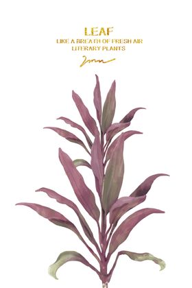 植物装饰画