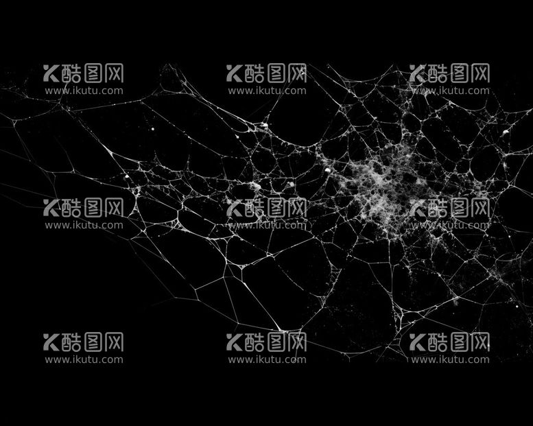 编号：54808911250532347190【酷图网】源文件下载-蜘蛛网