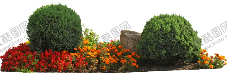 编号：49450302232054151752【酷图网】源文件下载-花卉景观植物