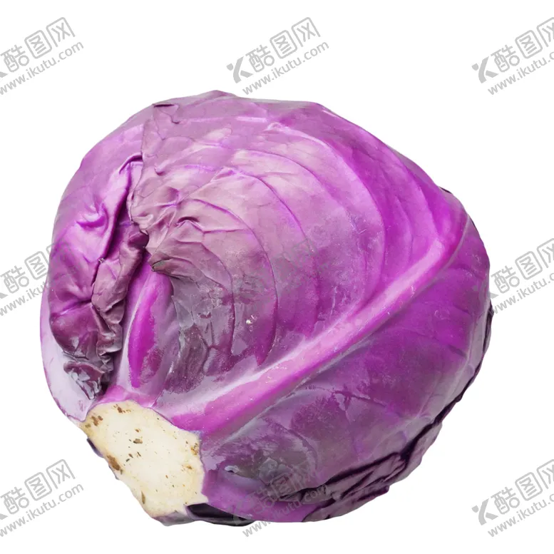 编号：85528602090101429833【酷图网】源文件下载-紫甘蓝