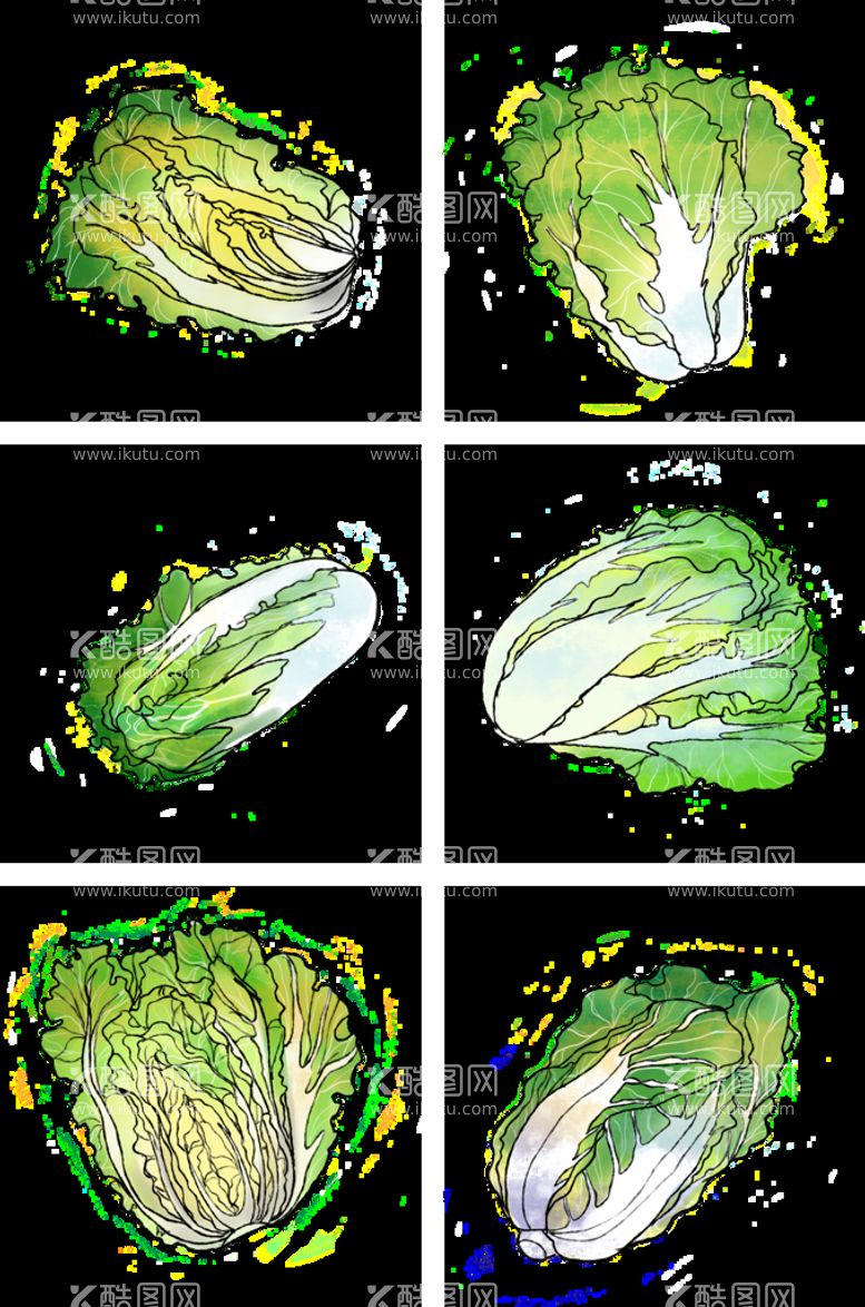 编号：52930810110606449183【酷图网】源文件下载-新鲜蔬菜大白菜手绘装饰