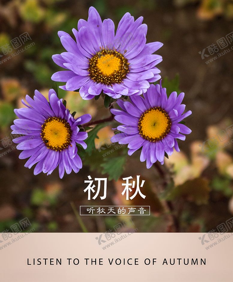 编号：47734109200013175088【酷图网】源文件下载-风景特写