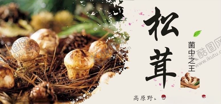 编号：97905110031110519255【酷图网】源文件下载-野生松茸海报