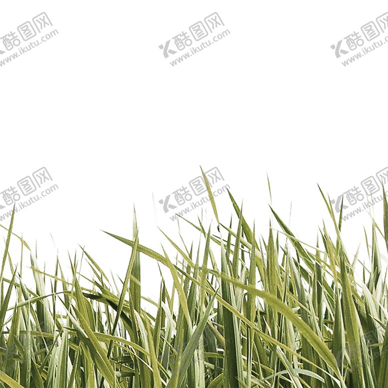 编号：57101707041952518754【酷图网】源文件下载-花边素材