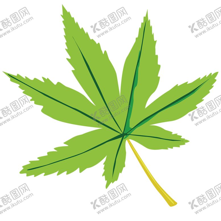 编号：75276610132121301374【酷图网】源文件下载-绿色植物