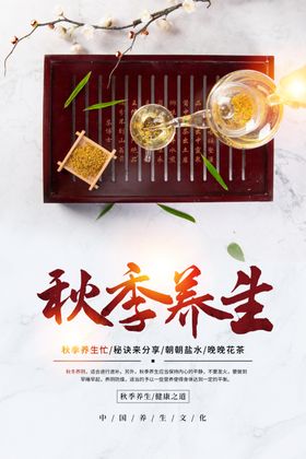 秋季养生传统活动海报素材