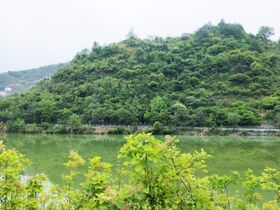 青山绿水