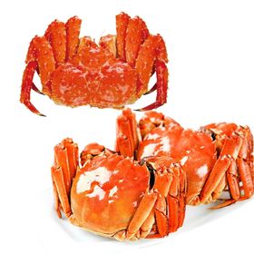 帝王蟹免扣素材