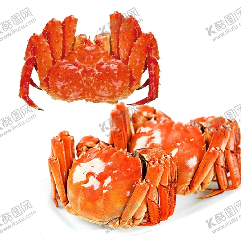编号：21801409152159548506【酷图网】源文件下载-帝王蟹免扣素材