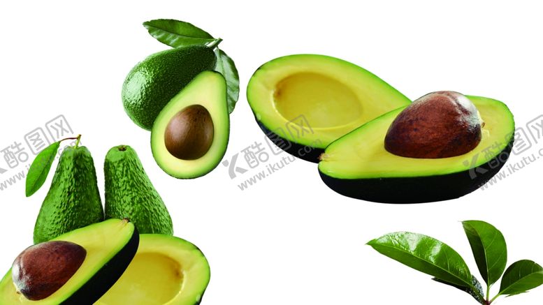 编号：31874709150535035468【酷图网】源文件下载-牛油果