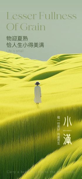 小满节气海报