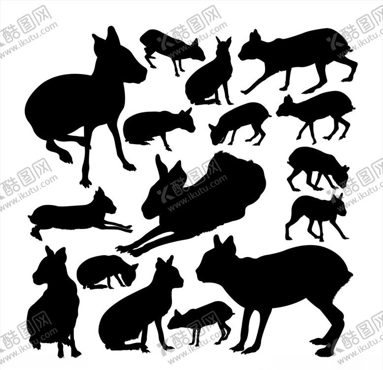 编号：40353710302358335044【酷图网】源文件下载-动物插画