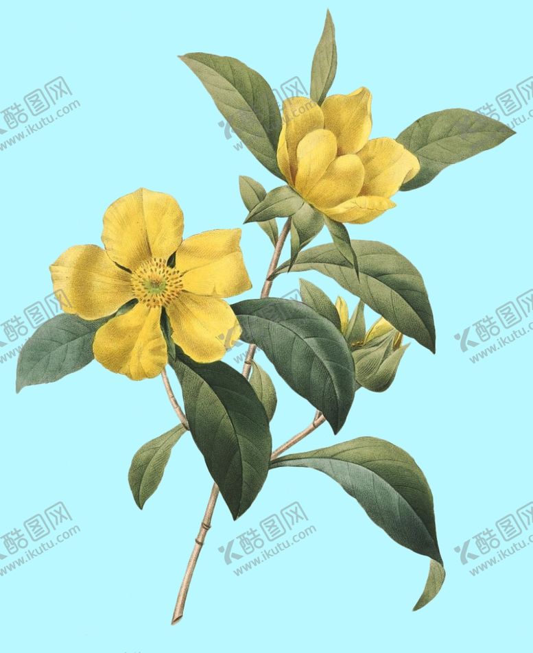 编号：69547007041501164241【酷图网】源文件下载-手绘花朵