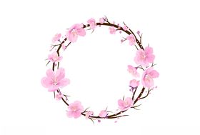 粉色花卉花朵边框