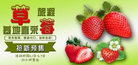 新鲜草莓甜蜜美味来袭