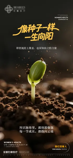 像种子一样一生向阳