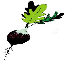 绿色植物