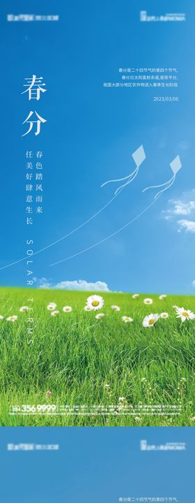 春分节气系列海报