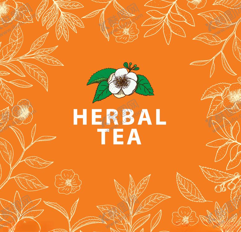 编号：20975609251805111894【酷图网】源文件下载-植物线稿