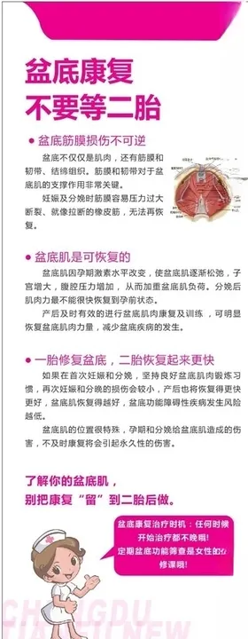 盆底展架