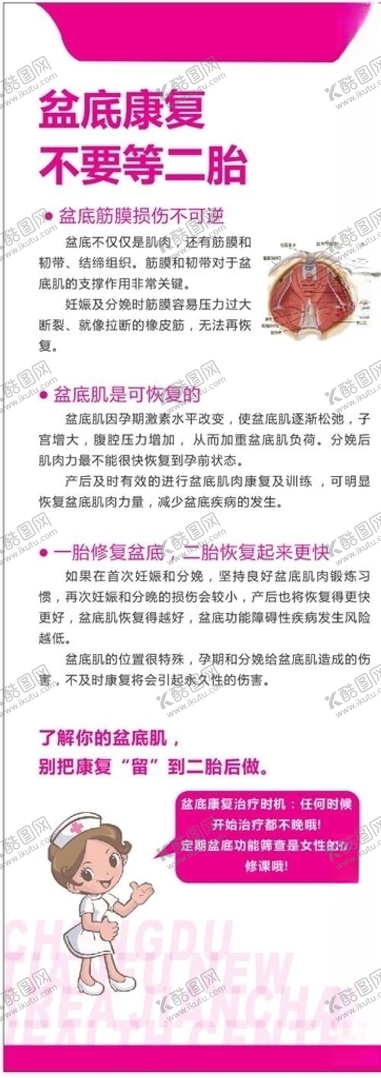 编号：89004007131908249465【酷图网】源文件下载-盆底修复展架