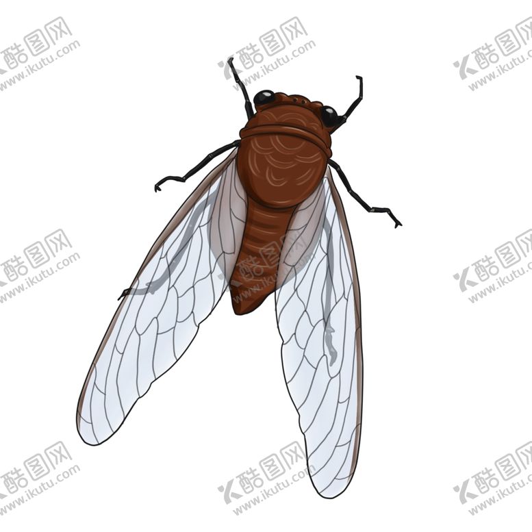 编号：10946010222009128978【酷图网】源文件下载-知了卡通夏日昆虫