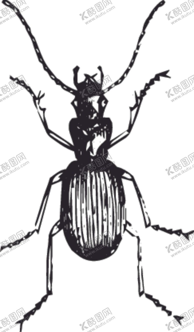 编号：22438910162323395013【酷图网】源文件下载-自然昆虫蝴蝶标本插画