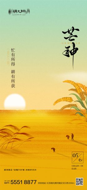 芒种夏至小暑节气海报