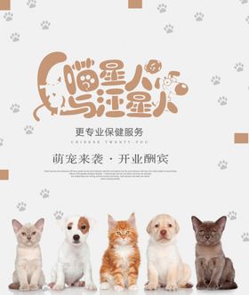 宠物店铺
