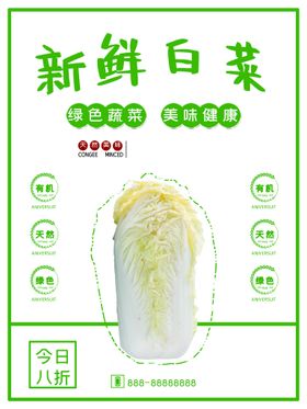 新鲜白菜