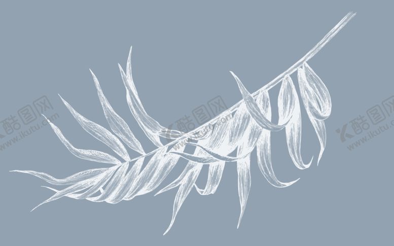 编号：33471009161815052113【酷图网】源文件下载-树叶