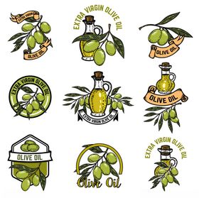 橄榄与橄榄油图标设计元素