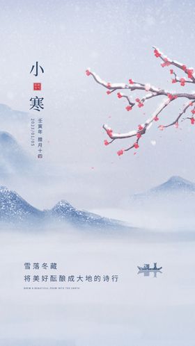 大雪小寒24节气海报