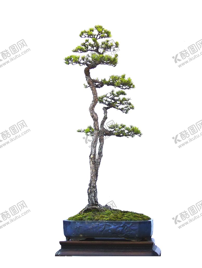 编号：74426209241754013149【酷图网】源文件下载-花艺