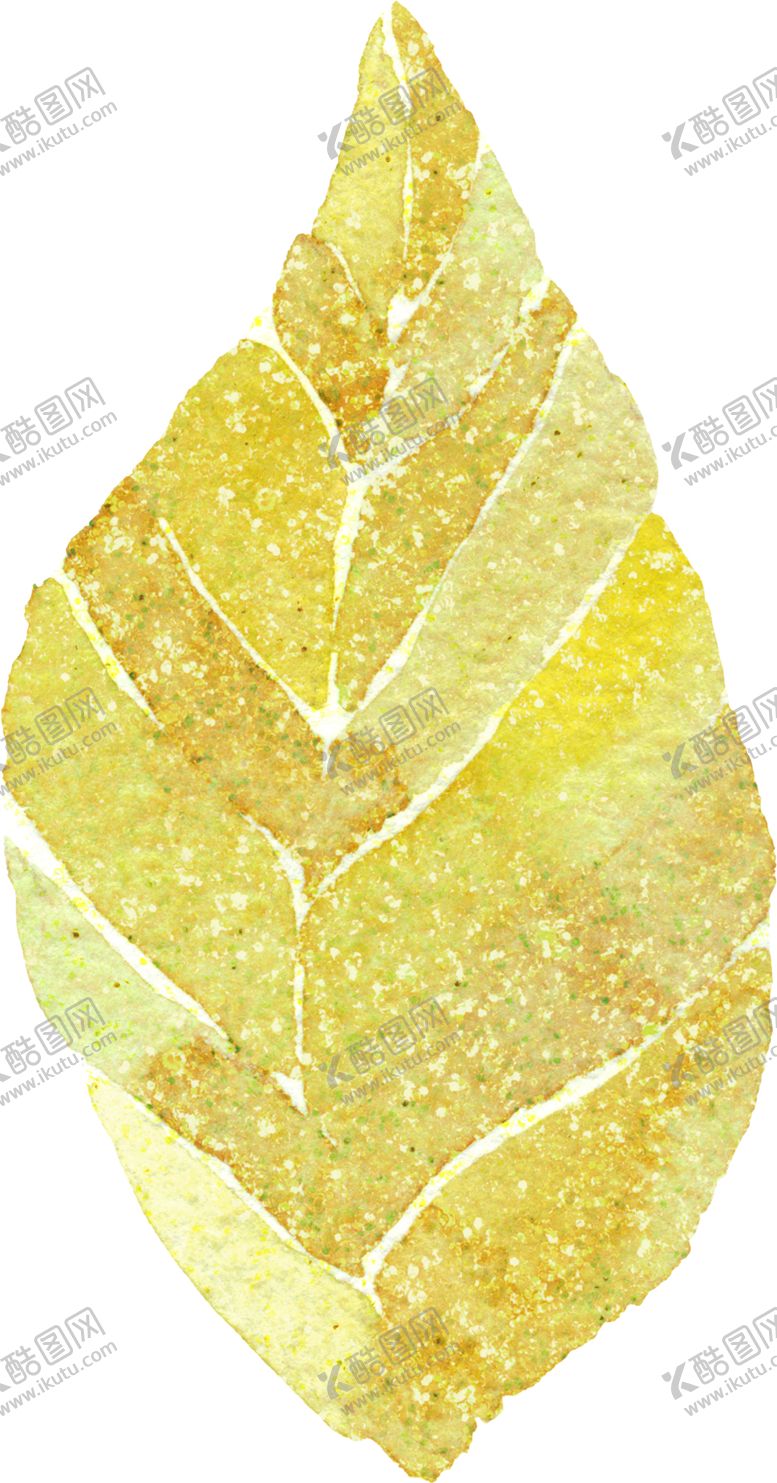 编号：82065309212306195946【酷图网】源文件下载-水彩手绘花卉花朵植物