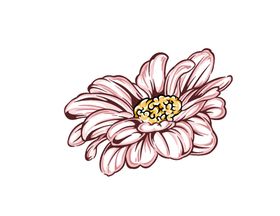 电脑手绘花卉
