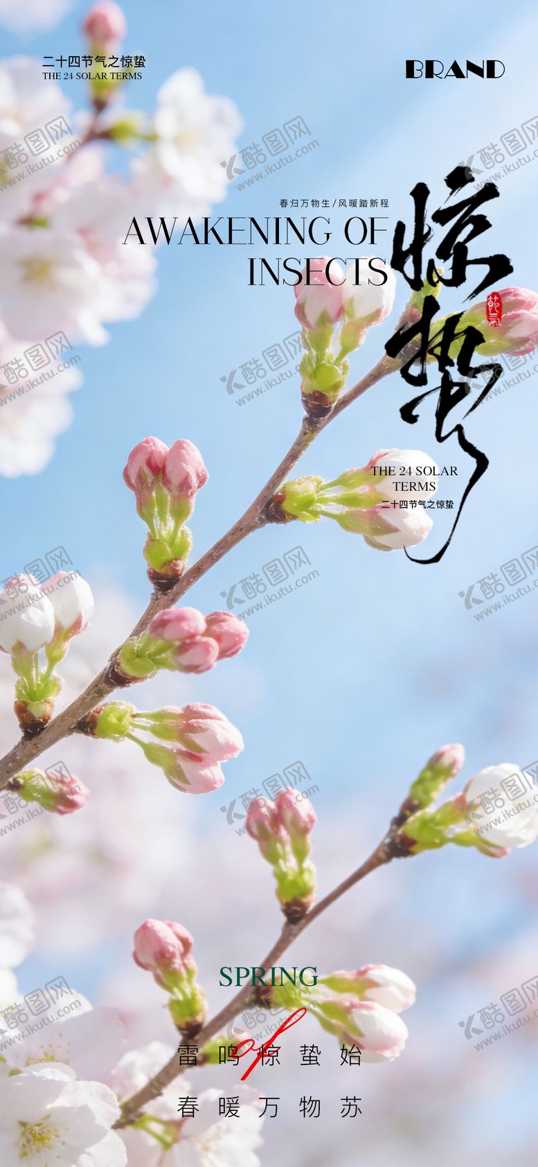 编号：54600503020205039380【酷图网】源文件下载-惊蛰节气海报