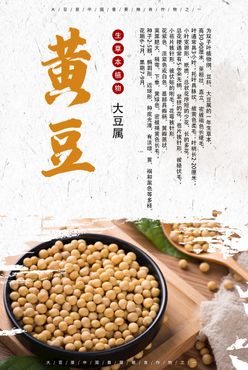 黄豆大豆五谷杂粮红豆