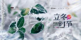 立冬时节的翠绿植物